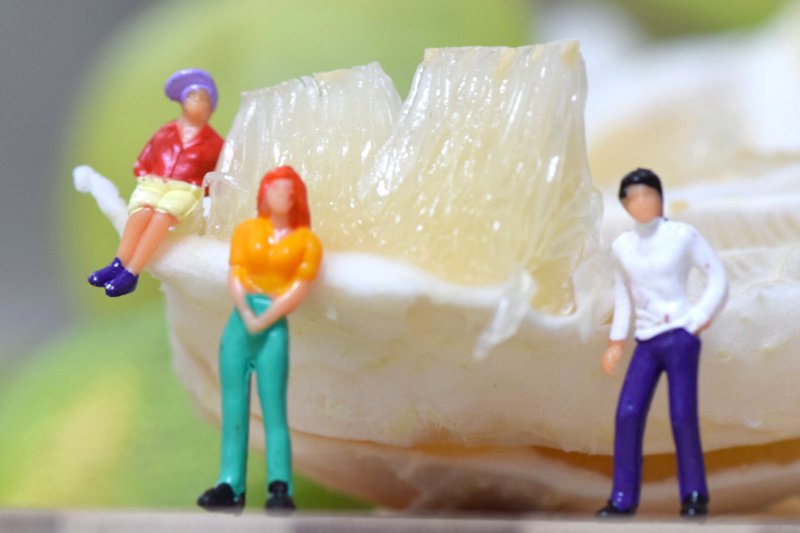 【柚子】 干果酱（1片装/盒） - 零食/点心 - 新鲜食材 绿色