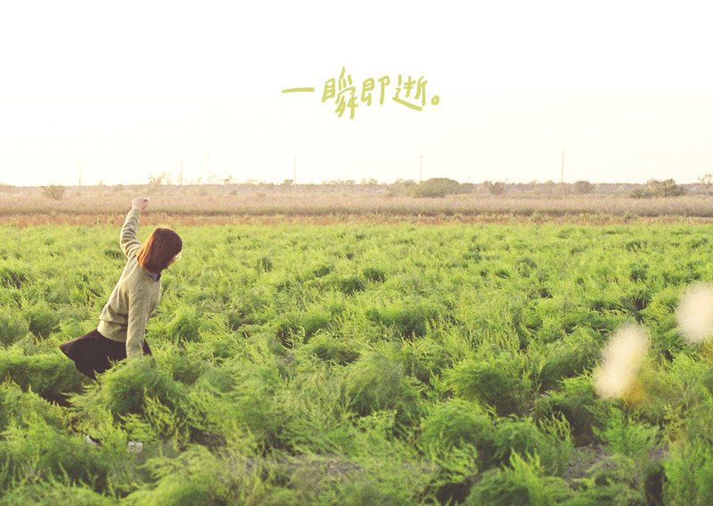 一瞬即逝 /Magai's postcard - 卡片/明信片 - 纸 绿色