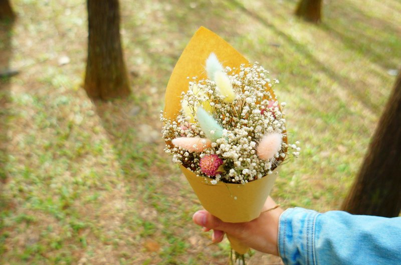 麋花Amor Floral -(牛皮纸包装 )缤纷兔尾草满天心干燥花小花束/ 婚礼小物 新娘捧花 毕业小花束 外拍花束 婚纱拍照道具 干燥花 生日礼物 - 植栽/盆栽 - 植物．花 多色