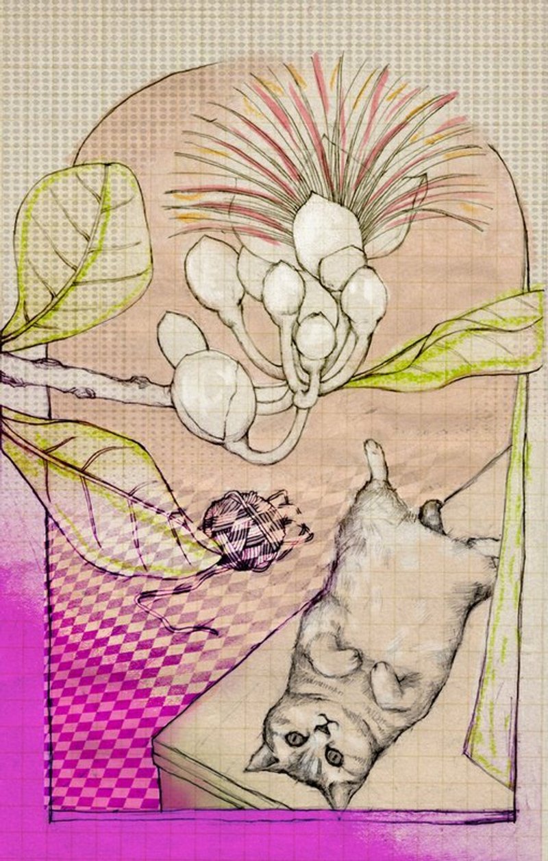 喵喵卡棋盘紫 - 卡片/明信片 - 纸 