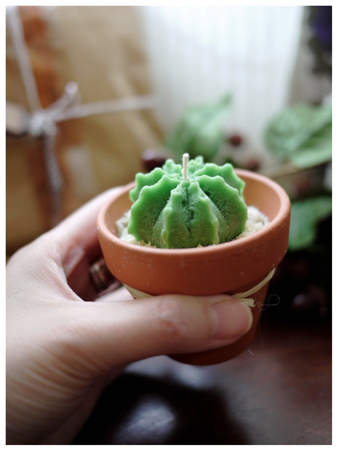 多肉植物盆栽－兜丸 大豆蜡烛 ✣ 天然x 纯精油 x 无烟害 - 植栽/盆栽 - 蜡 绿色