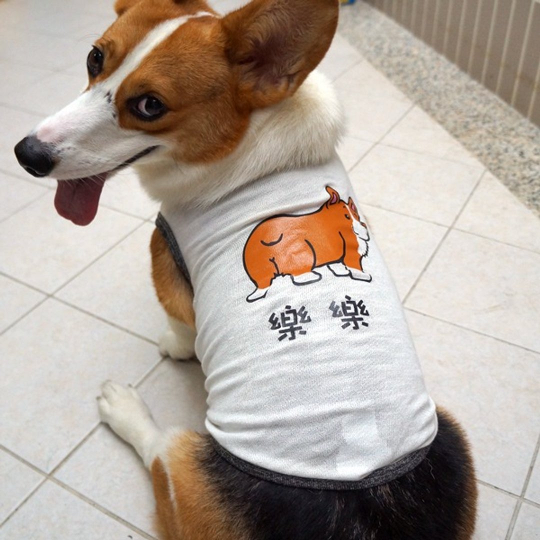 毛孩姓名订做款 柯基 Corgi 反光衣 宠物背心 棉质背心 - 衣/帽 - 棉 白色
