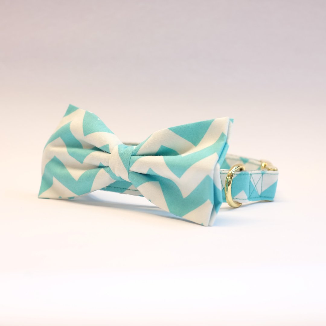 Aquamarine Chevron Bowtie Collar - 项圈/牵绳 - 其他材质 绿色