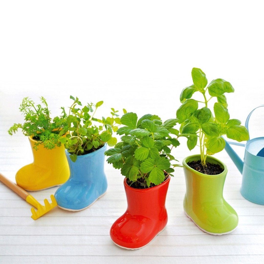 【福利品特卖】Baby Boots 陶瓷造型植栽盆器 / 小雨鞋 (四款) - 植栽/盆栽 - 陶 
