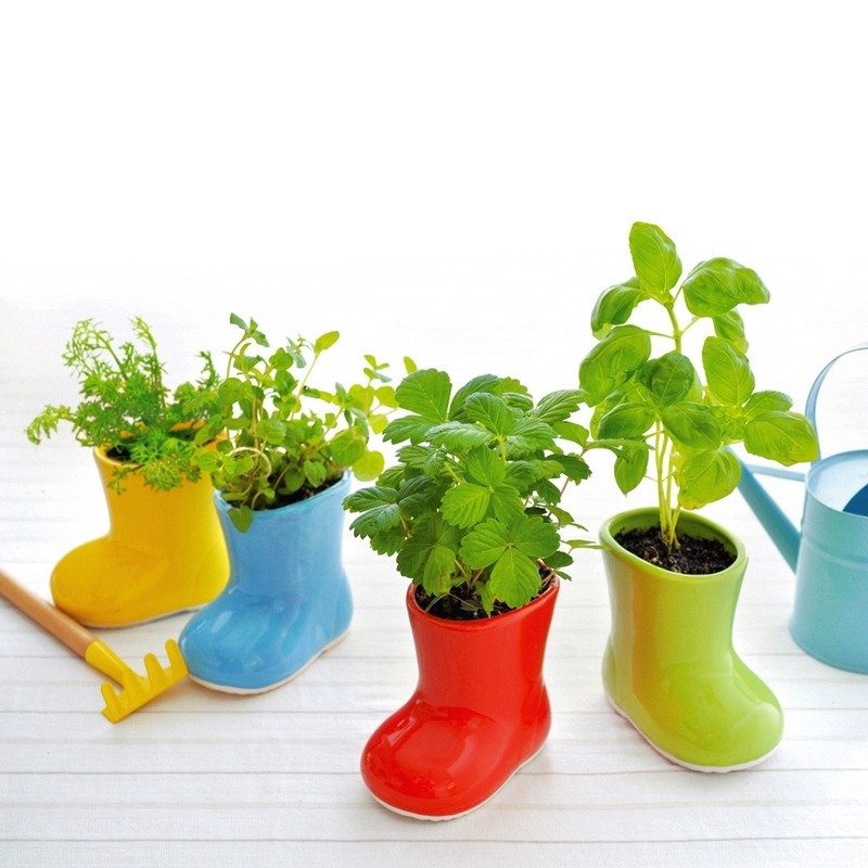 【福利品特卖】Baby Boots 陶瓷造型植栽盆器 / 小雨鞋 (四款) - 植栽/盆栽 - 陶 