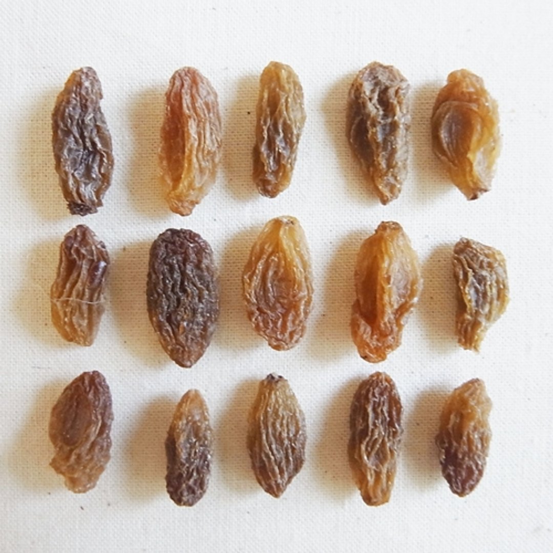 〔百山渡〕青提子 - 轻巧包 Green raisin - 其他 - 其他材质 绿色