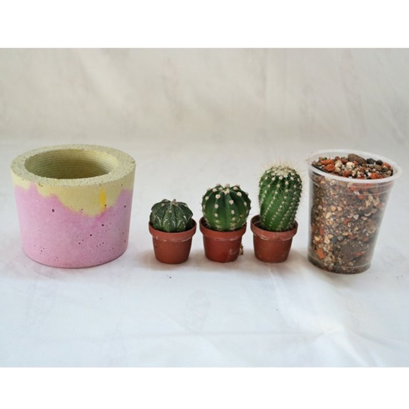 豆豆多肉植物与小杂货手工水泥盆-基础材料组合系列 - 植栽/盆栽 - 水泥 多色