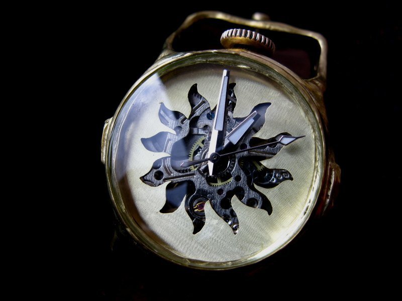 FF手工表 自动上炼手工机械表(太阳大麋鹿角款) - 其他 - 其他金属 