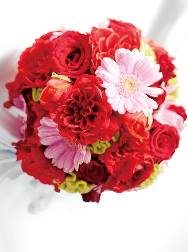 Flower Daily　圆型捧花・ラウンド形プーケ（RED） - 植栽/盆栽 - 植物．花 