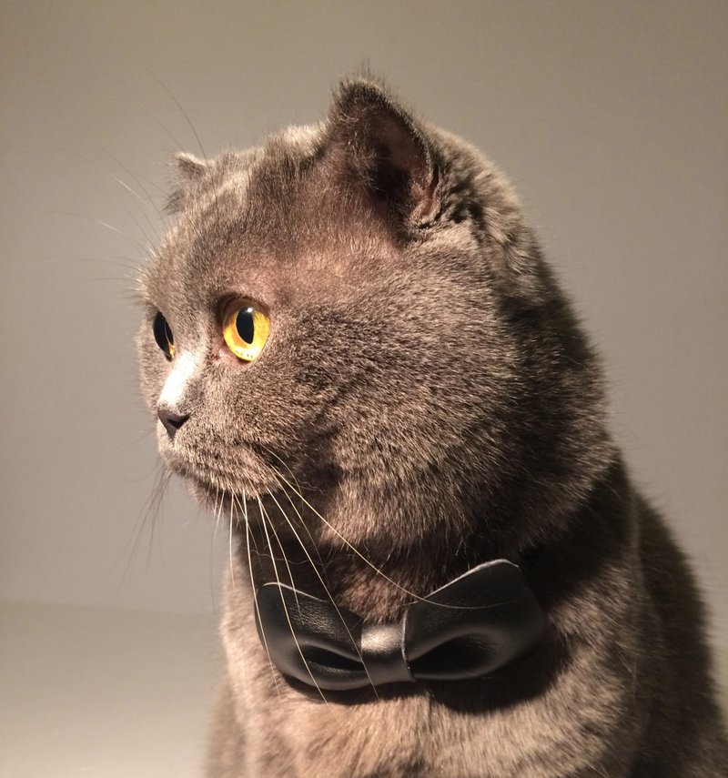 梦中做个指挥家 绅士黑 - 侧背包/斜挎包 - 真皮 黑色