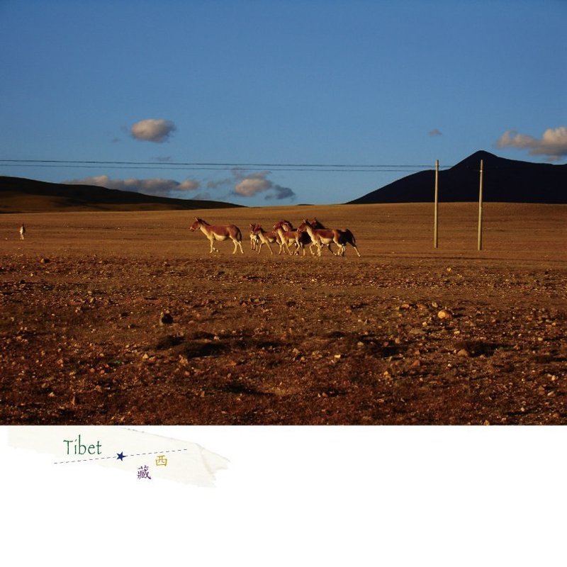 西藏旅行摄影明信片 - 卡片/明信片 - 纸 