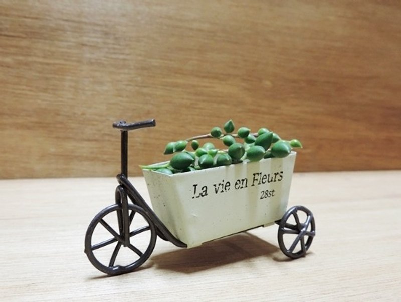 疗育系 · 多肉花园 · 复古脚踏车 - 植栽/盆栽 - 植物．花 