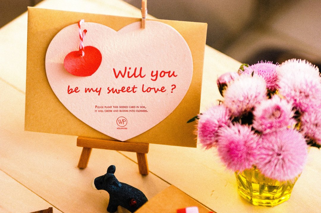 情人节 心形种子卡片 - Will you be my sweet love? - 卡片/明信片 - 纸 粉红色