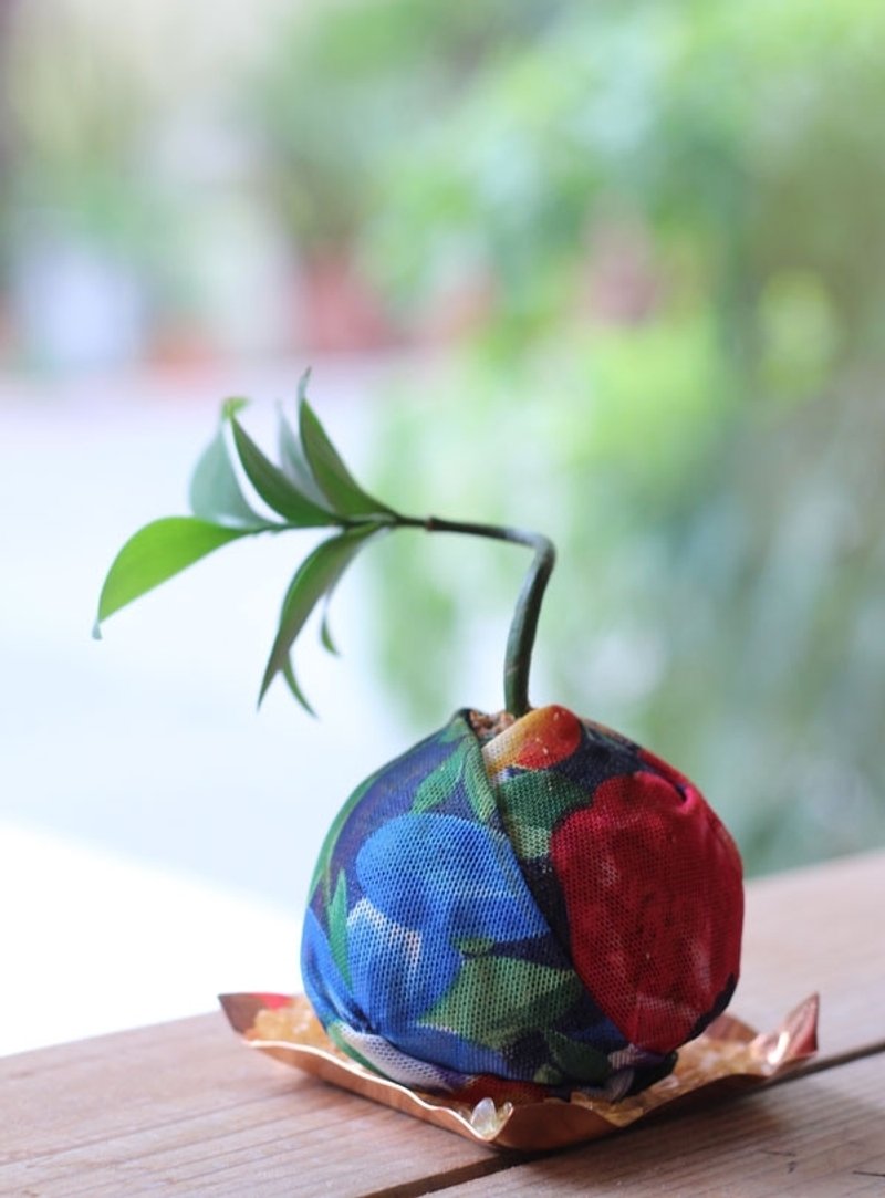 花布水苔球 ♂ 植栽 - 植栽/盆栽 - 其他金属 蓝色