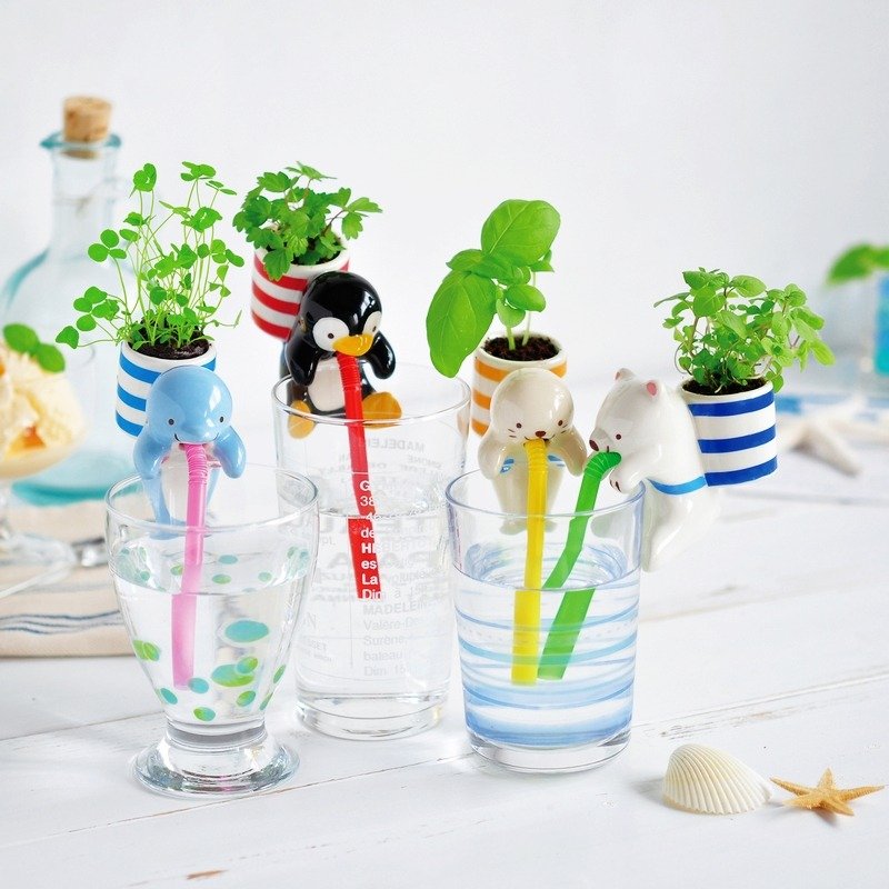 Chuppon 日本杯缘子动物植栽盆器 海洋限定版 - 植栽/盆栽 - 陶 多色