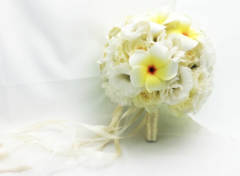 《新娘捧花》鸡蛋花捧花 - 植栽/盆栽 - 植物．花 白色