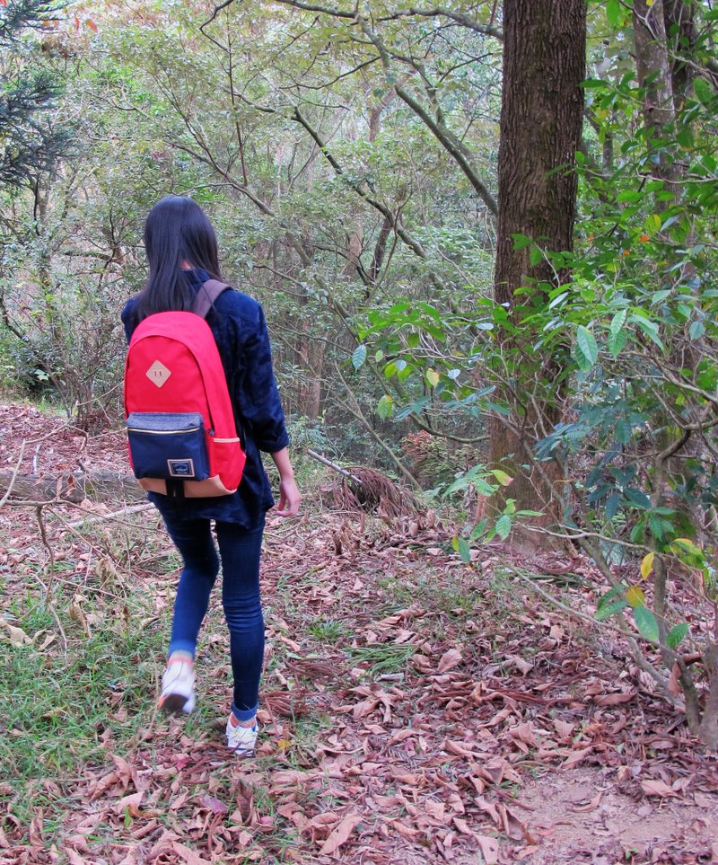 火柴木设计 Matchwood Infantry 防水笔电后背包 旅行包 登山包 后背包 17寸笔电夹层 红蓝色款 - 后背包/双肩包 - 防水材质 红色