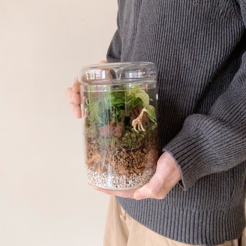 mini zoo 苔藓景观 室内植栽 - 植栽/盆栽 - 植物．花 绿色