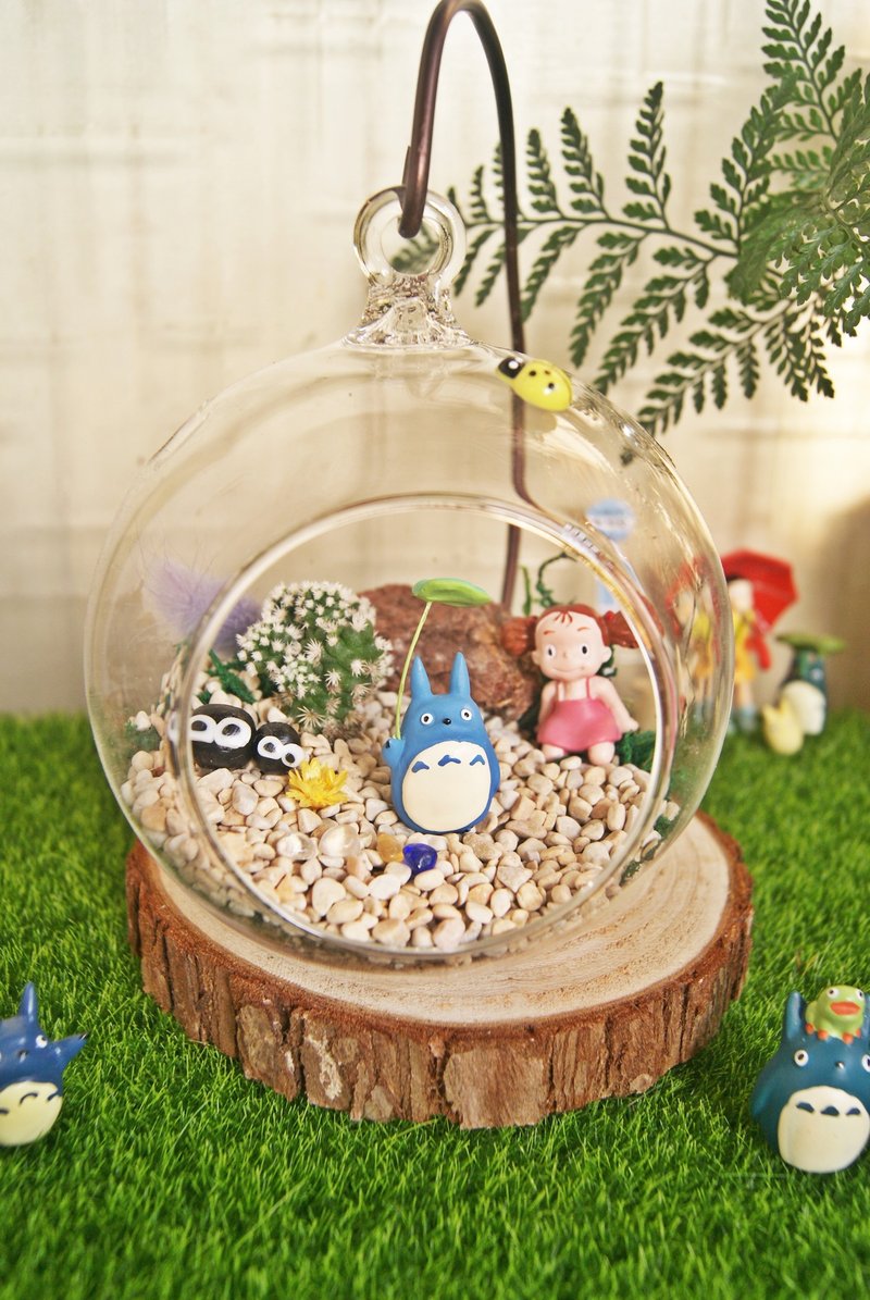 玻璃窗内的自然小风景X多肉植栽-(更多作品照可至3s garden粉丝页参考) - 植栽/盆栽 - 植物．花 