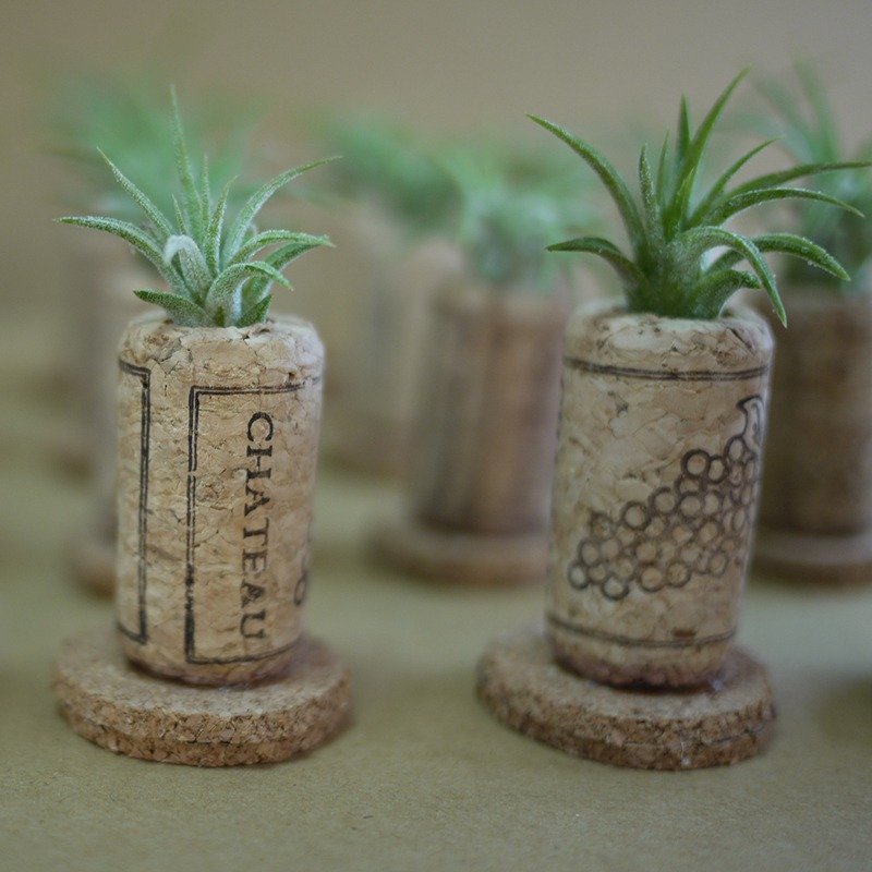 创意花盆、创意植栽、空气凤梨(小精灵)红酒软木塞摆饰、软木手作工艺、居家/办公室饰品、疗愈小物、定制服务、DIY、礼品 - 植栽/盆栽 - 其他材质 咖啡色