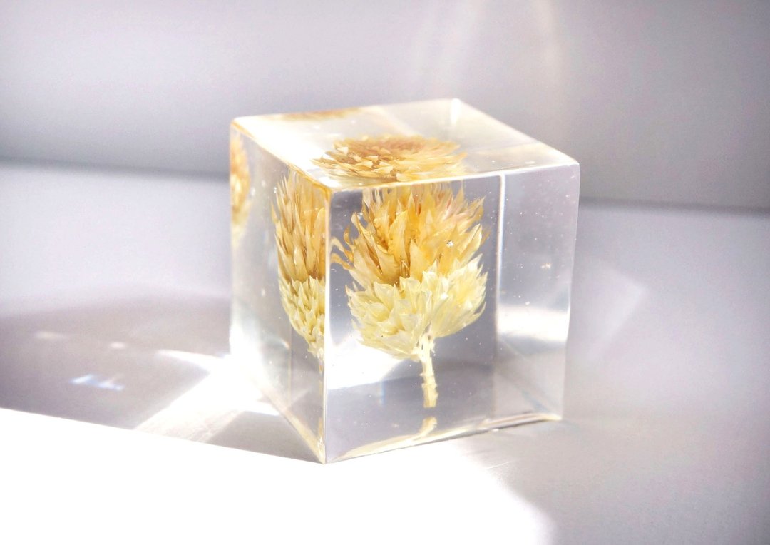 黄色小蓟花-立体方形干花摆设 - 木工/竹艺/纸艺 - 纸 黄色