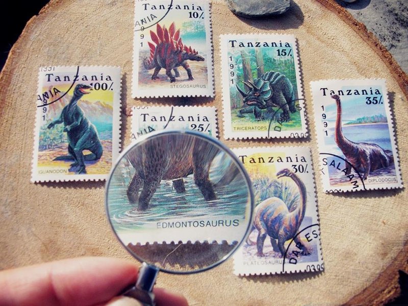 眼镜度数♀复古放大镜 - 其他 - 玻璃 白色