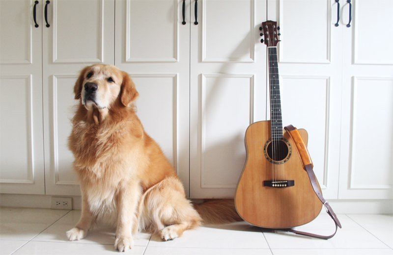 LION's 极简手工真皮牛皮吉他背带 (铜色皮带头) - 其他 - 真皮 咖啡色