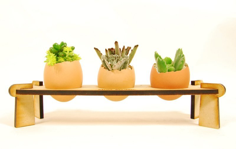 Mini garden植栽甜点长型盘 - 植栽/盆栽 - 其他材质 卡其色