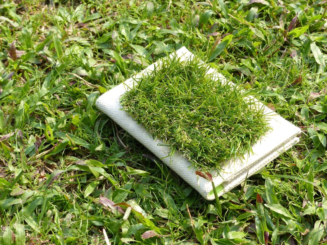 草草护照套 - 皮夹/钱包 - 棉 