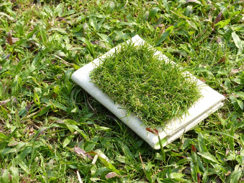 草草护照套 - 皮夹/钱包 - 棉．麻 