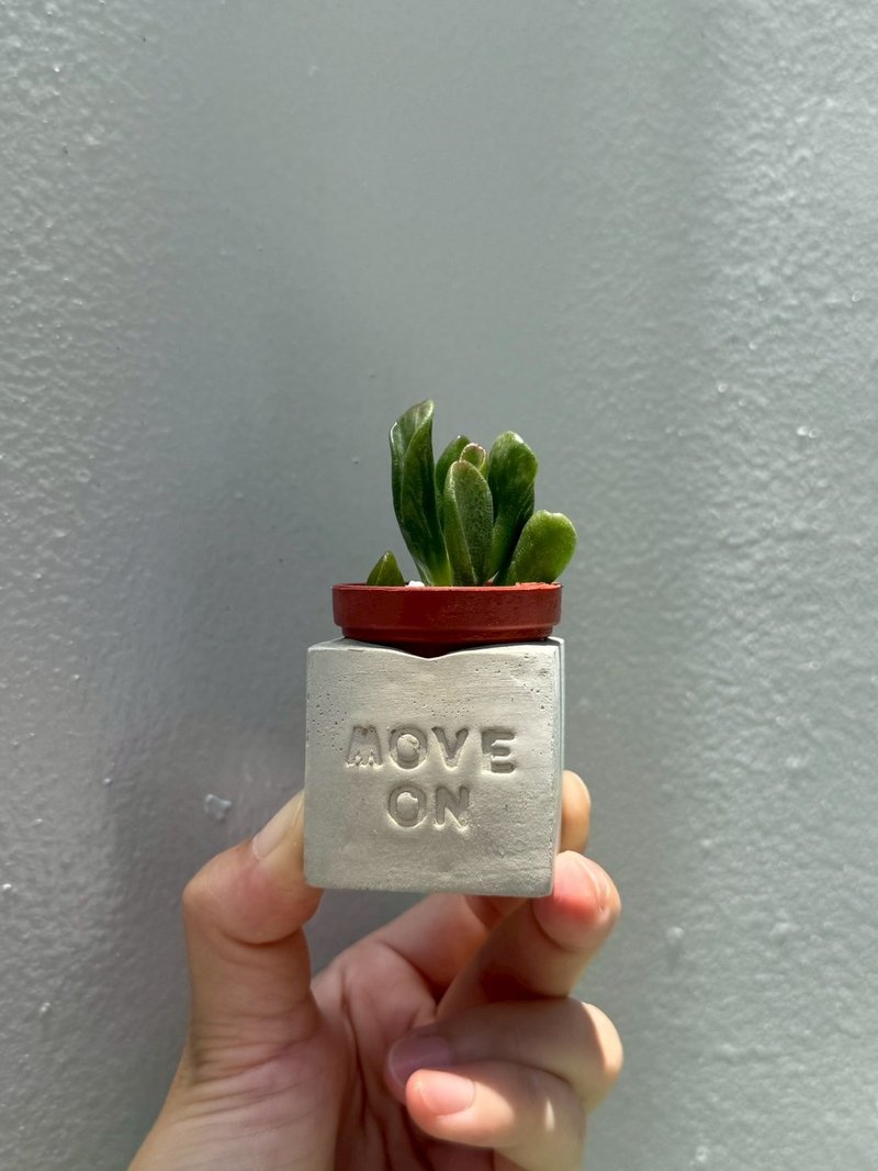 Move On ~!! （甩开过去, 迎向未来）多肉磁铁盆栽 - 植栽/盆栽 - 水泥 灰色