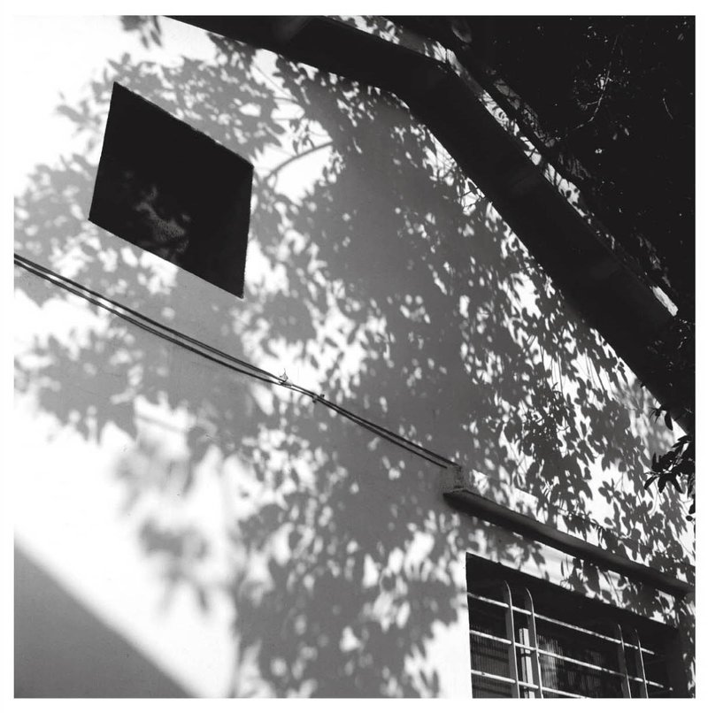 马芊伶的摄影作品-无题-整组5张(明信片 / 画卡 / 收藏品) - 摄影集 - 纸 灰色