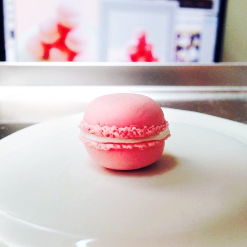 马卡龙磁铁 - 冰箱贴/磁贴 - 其他材质 粉红色