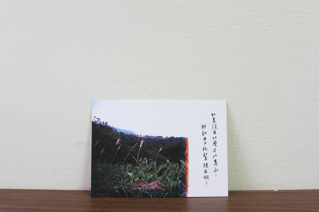 抓紧现在 / 明信片 - 卡片/明信片 - 纸 多色