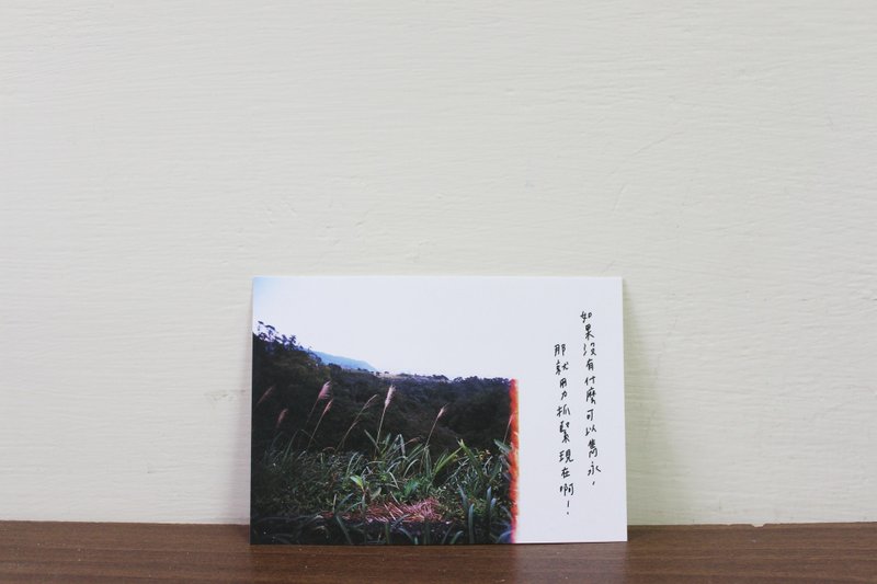 抓紧现在 / 明信片 - 卡片/明信片 - 纸 多色