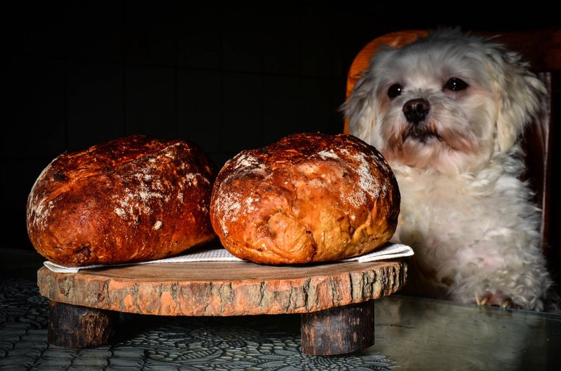"淡淡木头香"--纯天然珍贵樟树迷你原木桌(Big Size) - 摆饰 - 木头 咖啡色