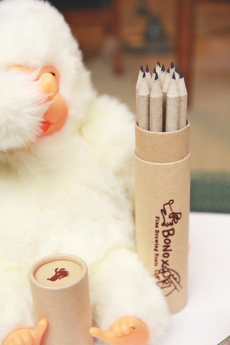 DULTON 纸卷铅笔12入 - 铅笔/自动铅笔 - 纸 