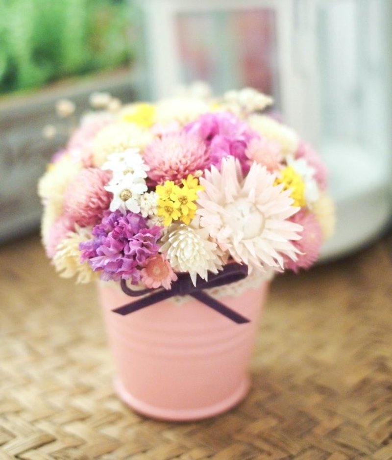 *陪着你*干燥小盆花 - 植栽/盆栽 - 植物．花 