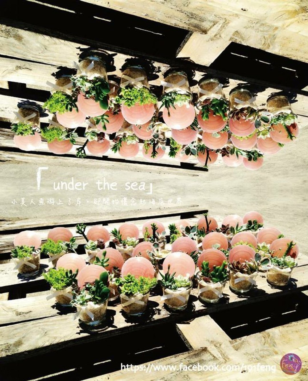 “under the sea]小美人鱼游上了岸，却开始怀念起海底世界 - 植栽/盆栽 - 植物．花 粉红色
