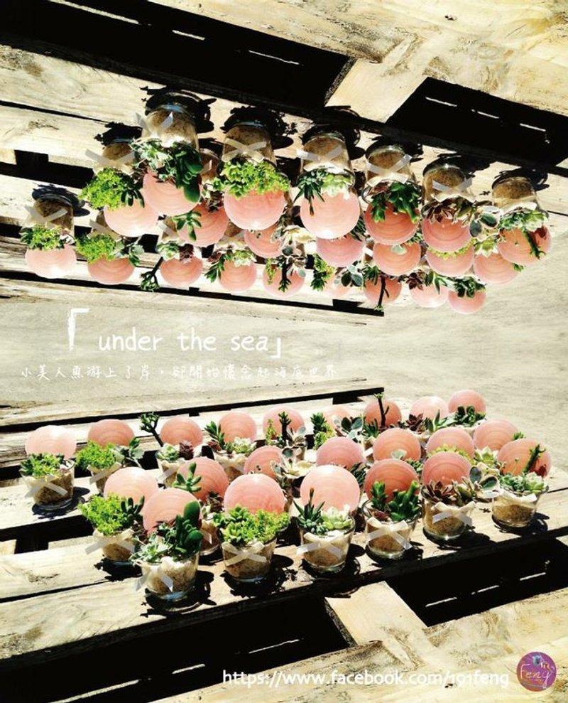 “under the sea]小美人鱼游上了岸，却开始怀念起海底世界 - 植栽/盆栽 - 植物．花 粉红色