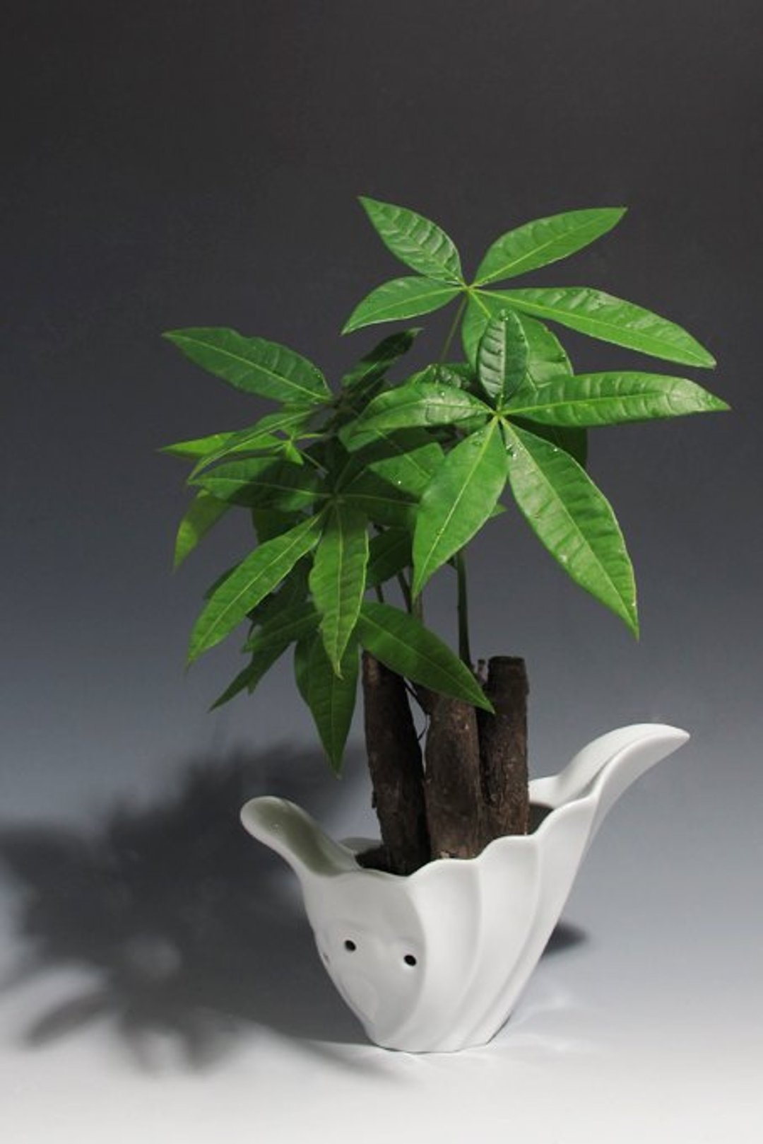 五行创艺 蛹护花器 - 花瓶/陶器 - 瓷 白色
