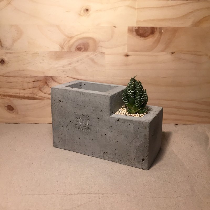多肉植物笔筒(附随机多肉) 交换礼物 多肉盆栽 - 笔筒/笔座 - 水泥 灰色