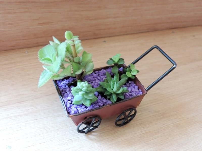 疗育系 · 植物花园 · 复古推车 - 植栽/盆栽 - 植物．花 