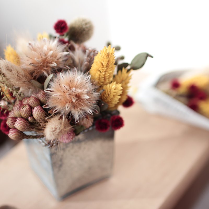 FaChic干燥花系列│暖秋滋味 - 植栽/盆栽 - 植物．花 橘色