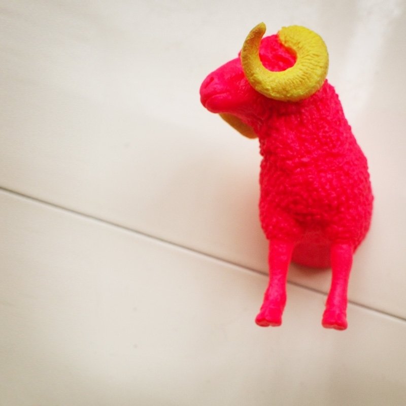 / 我的骄傲无可救药 / 半只羊 磁铁：萤光黄+桃红 - 冰箱贴/磁贴 - 塑料 红色