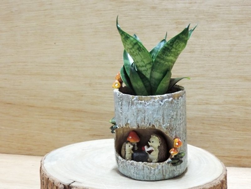 小树屋的秘密 · 虎尾兰 - 植栽/盆栽 - 植物．花 