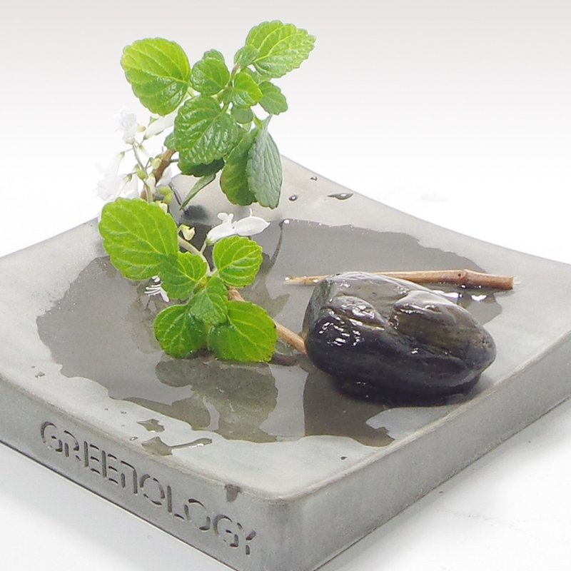 Greenology 水泥花碟 - 摆饰 - 水泥 灰色