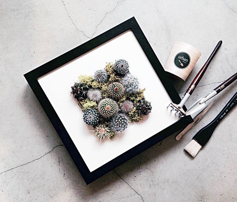 ◥200%百分之两百：仙人掌酷男孩品种组盆生命画框/完整画框与植栽 - 植栽/盆栽 - 植物．花 绿色