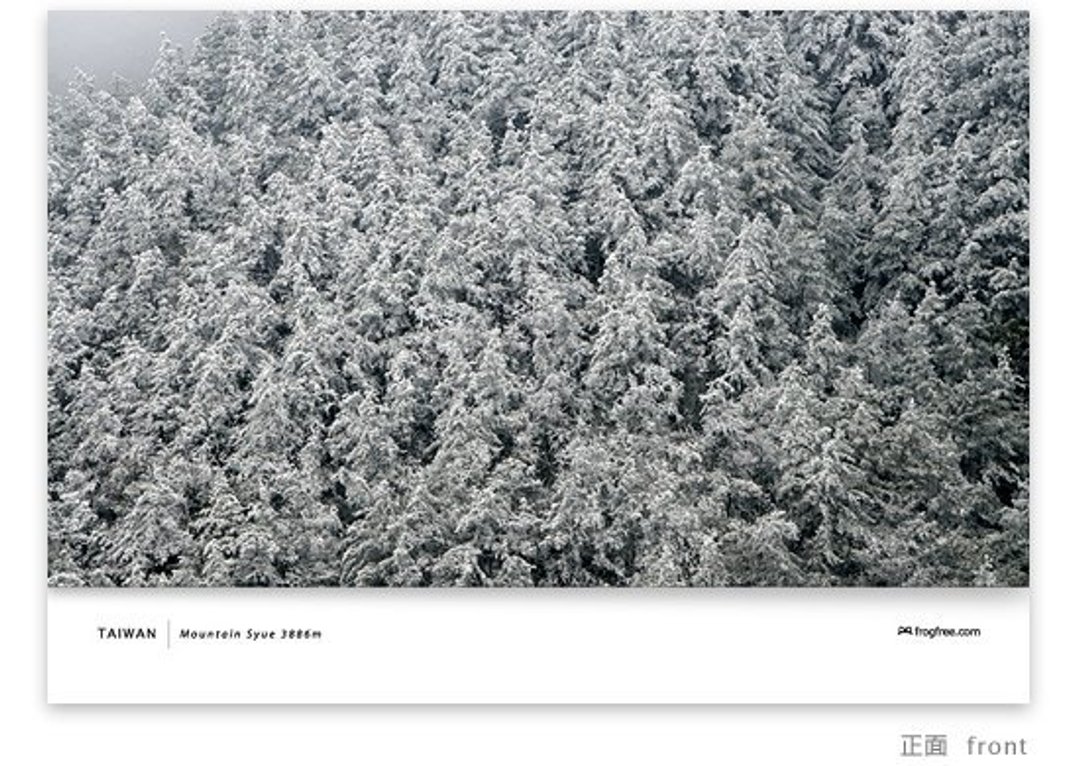 雪山卡片 - 思源哑口结霜的树林 - 卡片/明信片 - 纸 