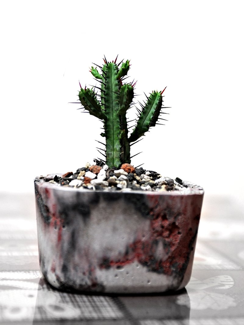 水泥花器.花盆.盆栽 (流砂系列) - 其他 - 水泥 